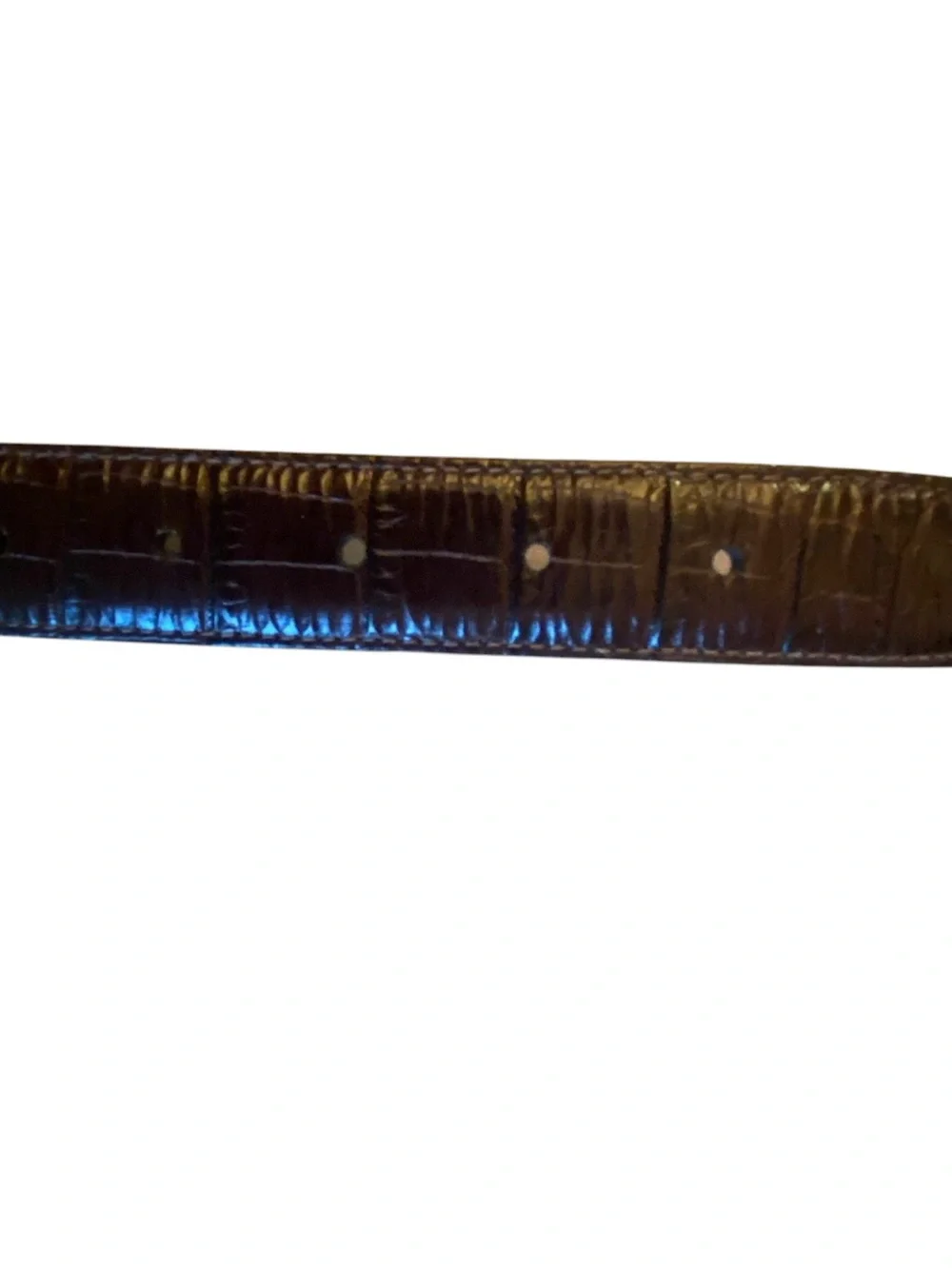 Brighton Dark Brown Croc Embossed Leather Belt with Decorative Silver Buckle